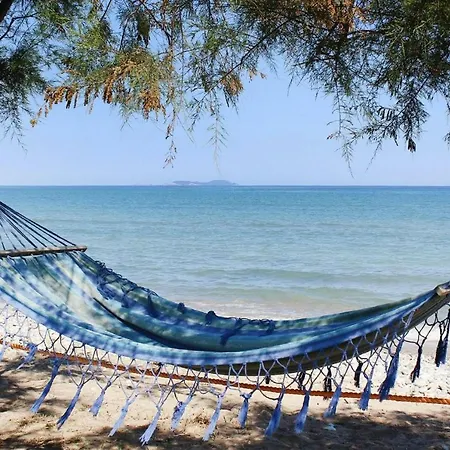 Corfu Sea Palm - Cfu02015-cye * Roda (Corfu)